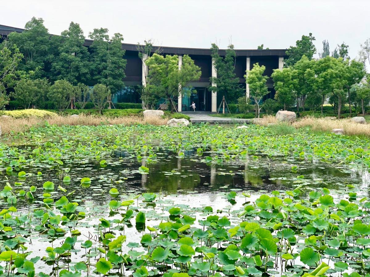 开封建业铂尔曼酒店 外观 照片